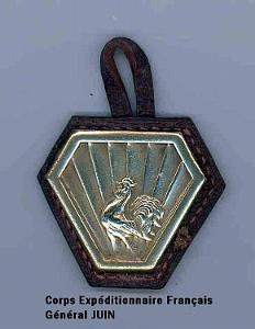 zx- Insigne du C.E.F (Armee Juin)